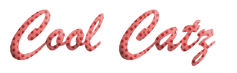 Cool Catz Logo